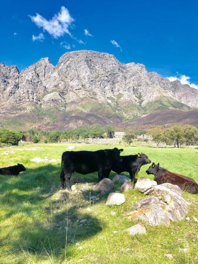 The Barn in Franschoek Pension Franschhoek Buitenkant foto